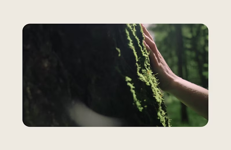 Cover image for Koso Wellness App Design