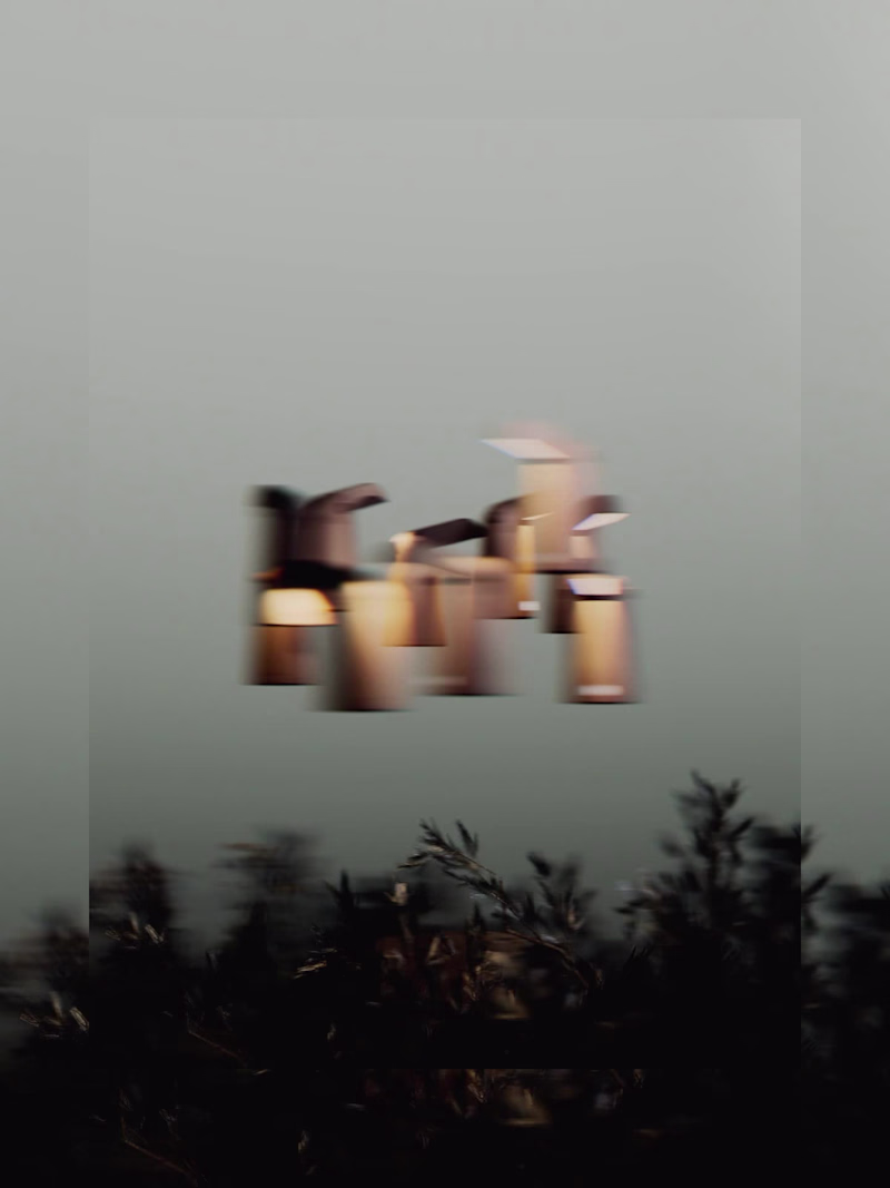 Cover image for TUPI is more than a