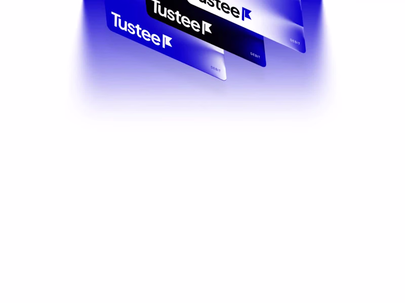 Cover image for Visual Identity Design for Tustee