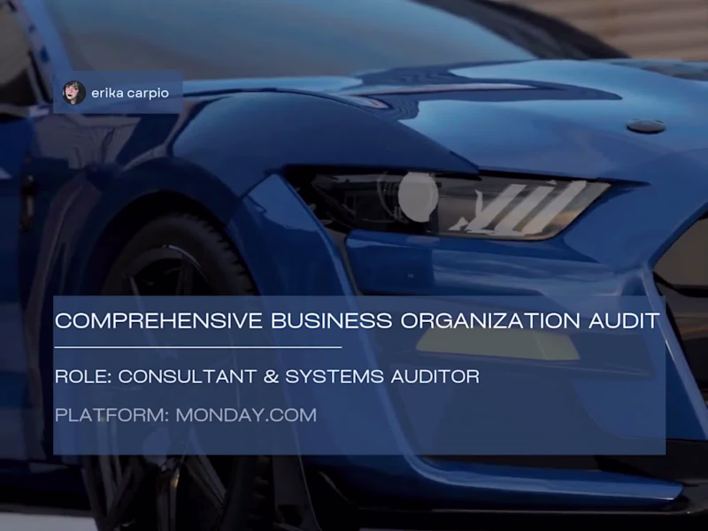 Cover image for From Chaos to Clarity: Business Organization Audit 