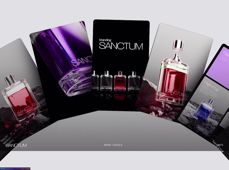 Cover image for Brand Visuals for Sanctum. Helped the team with Visual direc...