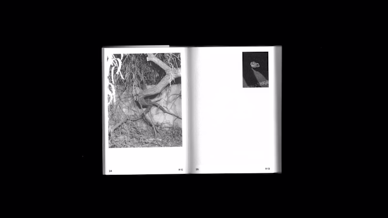 Cover image for Motifs is a perfect bound