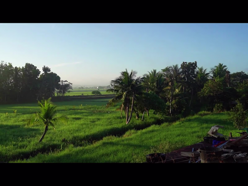 Cover image for Creative Documentary for a Non-Profit Organization