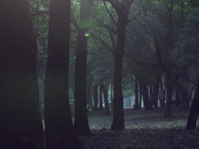 Cover image for "The Cycle of Breathing" Music Video for Mabe Fratti