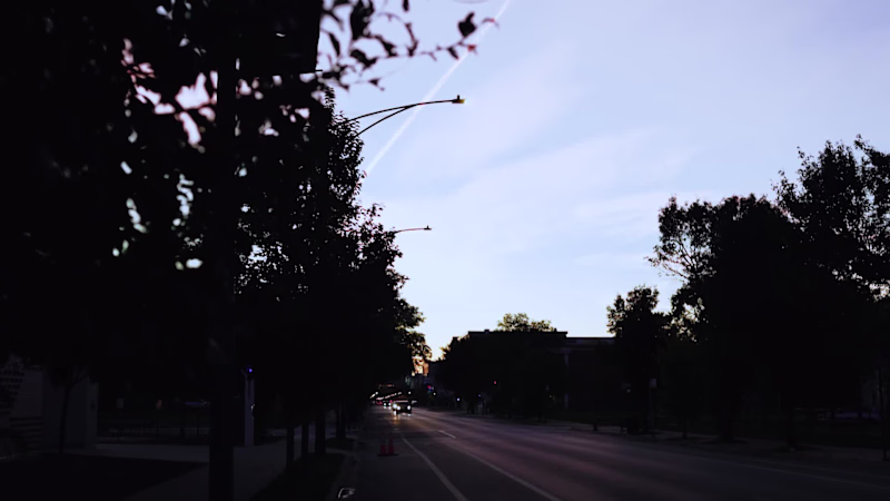 Cover image for This is a form of