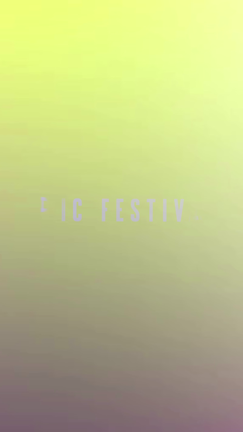 Cover image for A vibrant compilation of moments