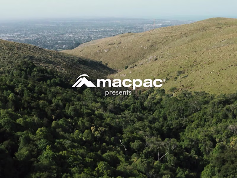 Cover image for The Wilderess Forest: A Short Documentary