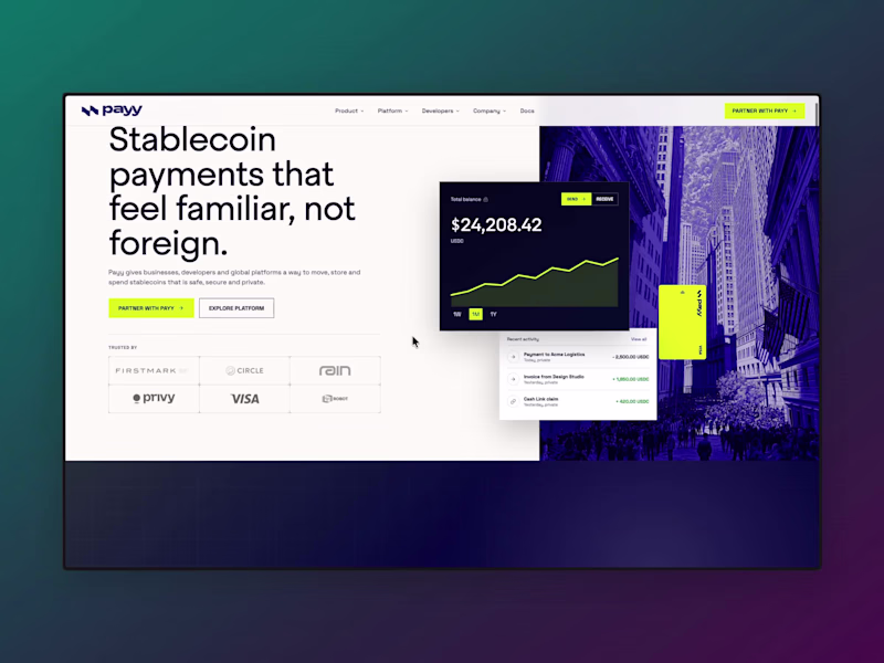 Cover image for Payy — Website Frontend