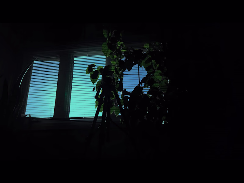 Cover image for The Loneliness Epidemic - Youtube Cinematic Documentary Video