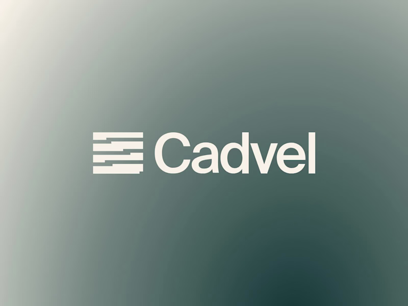Cover image for Cadvel Brand Identity Design