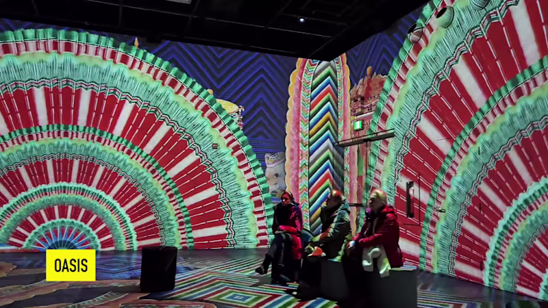 Cover image for Oasis Montréal : Une immersion en voix et en images