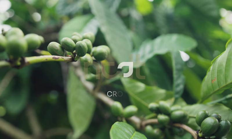 Cover image for National Coffee Data Trends Report Brand Identity & Marketing