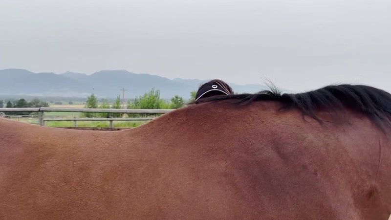 Cover image for We shot an interview for Mastery Horsemanship a while back a...