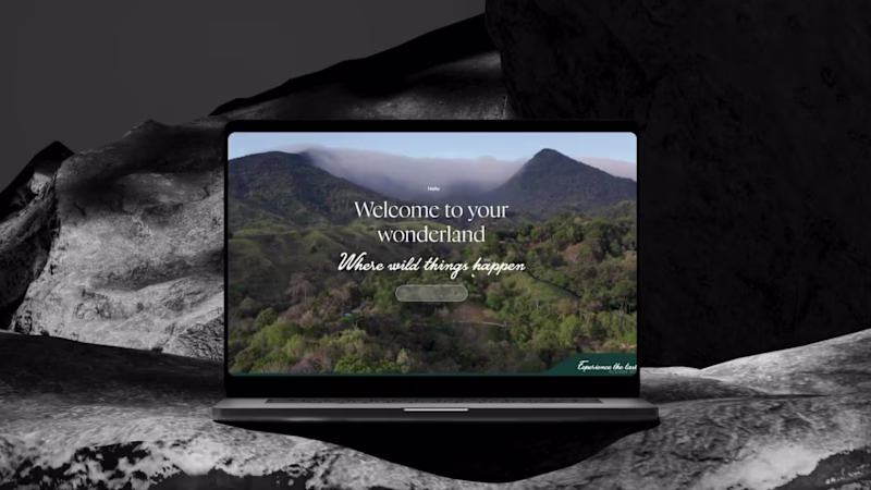 Cover image for Flying Pumas, Specialty Coffee Estate