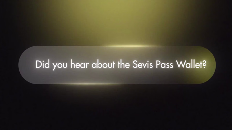 Cover image for NasFund-Sevis Pass Video
