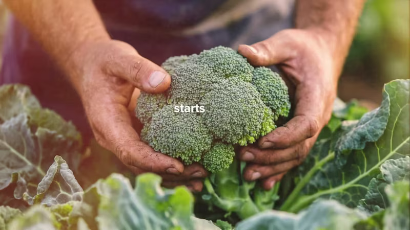 Cover image for Food Processing Technology Explainer Video