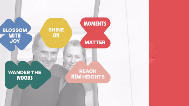 Cover image for Pack2go | Last Minute Travel Booking Platform Brand Identity