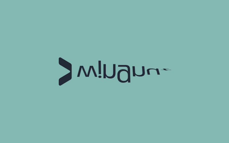 Cover image for Wingnut • Logo Animation (Lottie)