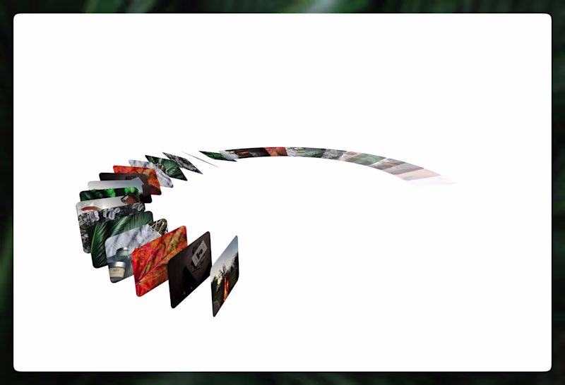 Cover image for RING — Rotational Image Navigation