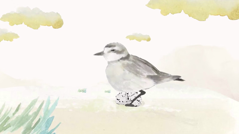 Cover image for Watercolour Explainer Video