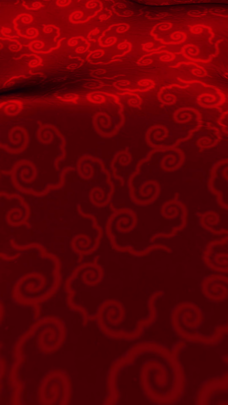 Cover image for Experimenting on a little silky,