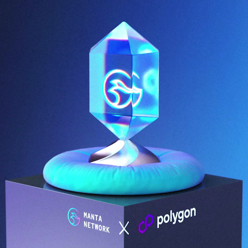 Cover image for One of the many partnership