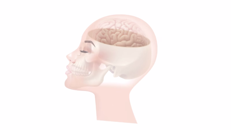 Cover image for Animation demonstrating the structure of