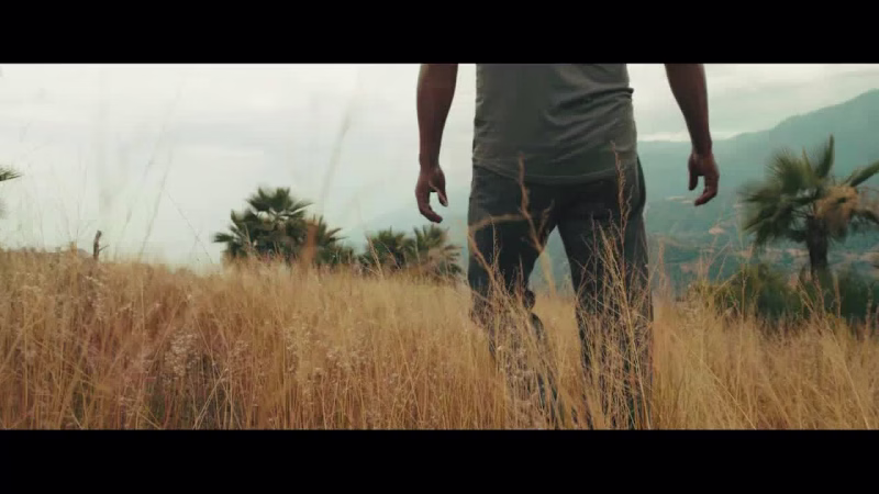 Cover image for Voice Over for "Mezcal Once