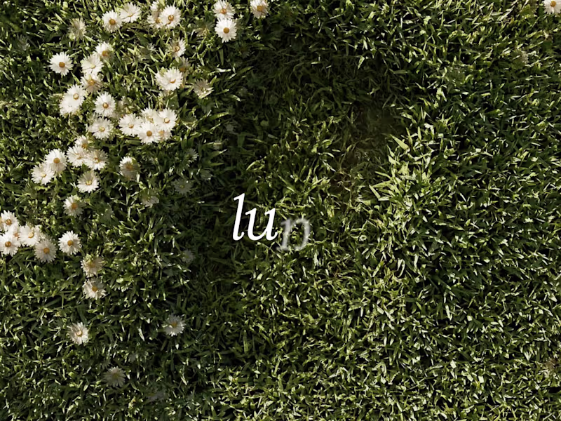 Cover image for UI/UX for Luna 
I've designed