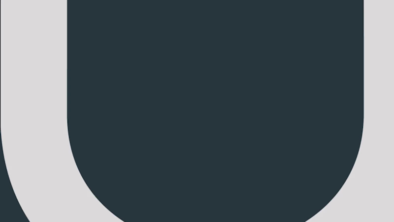 Cover image for RINU - A Modern Brand for Longevity and Renewal