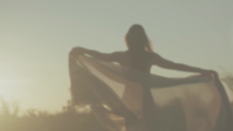 Cover image for Wildflower and Wren Brand Revitalization Project