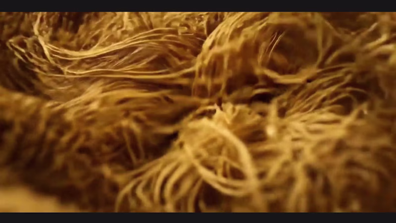 Cover image for AI Generated Video Ads for