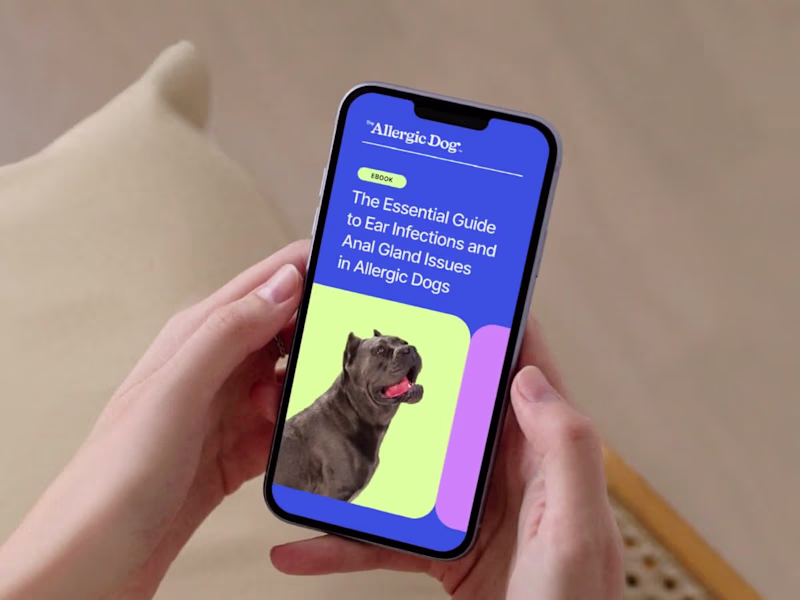 Cover image for The Allergic Dog | Branding + Kajabi Website Design