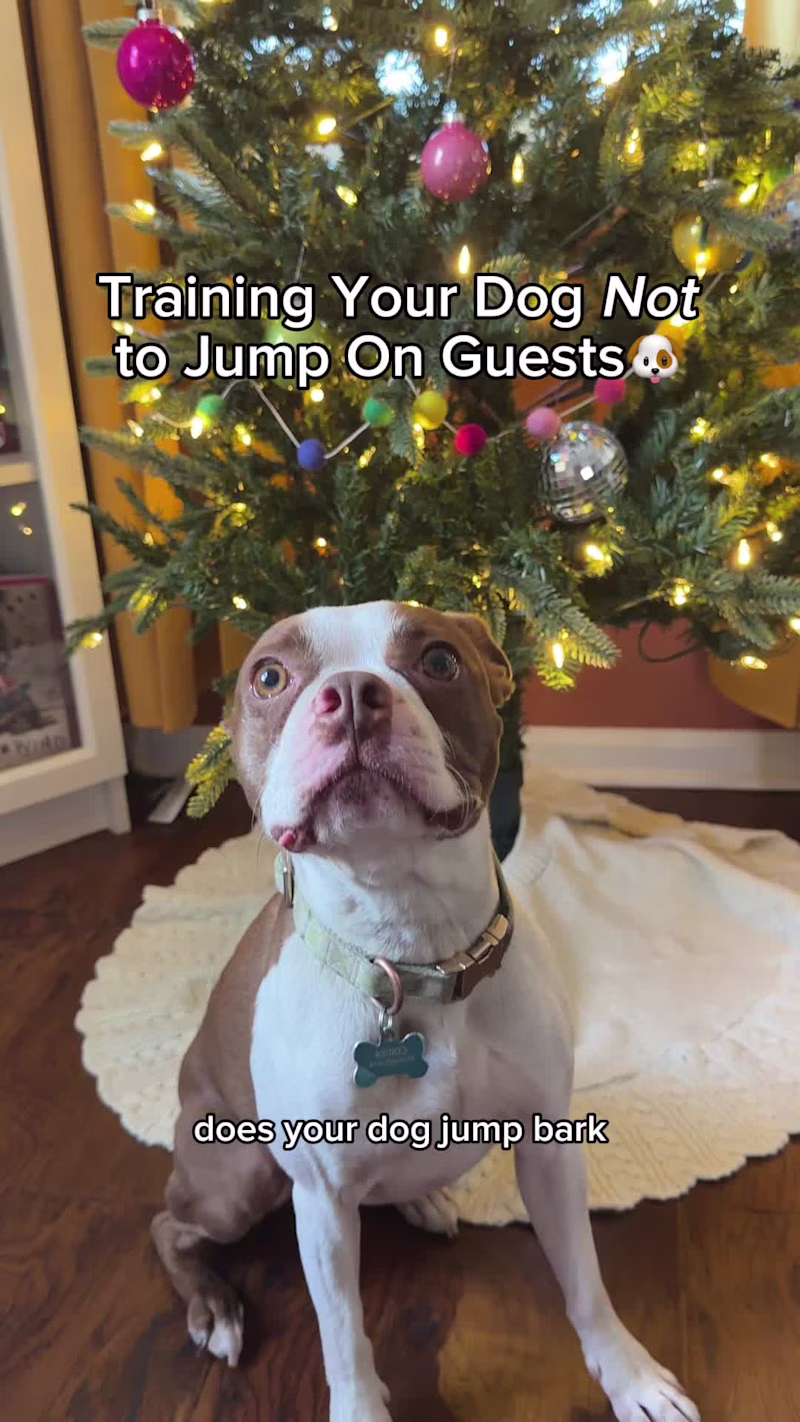 Cover image for Since December 2024, I have been a content creator (retainer...