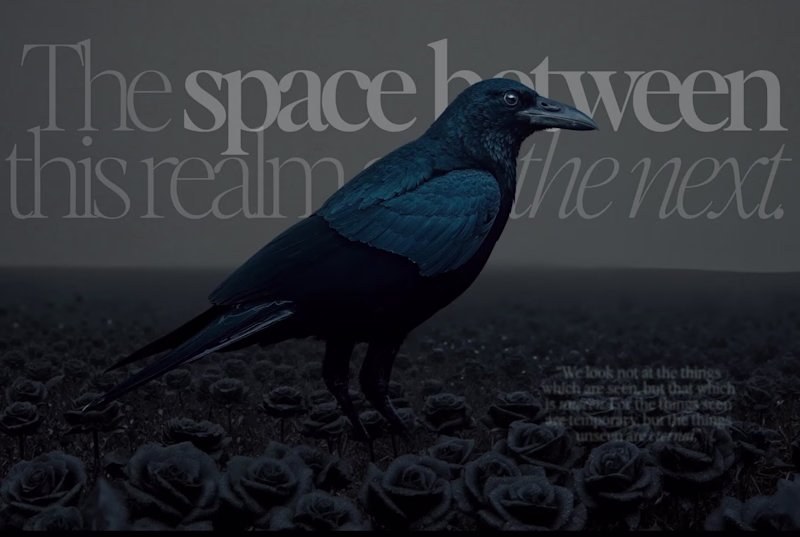 Cover image for Here is some motion design to complement what I've been up to.