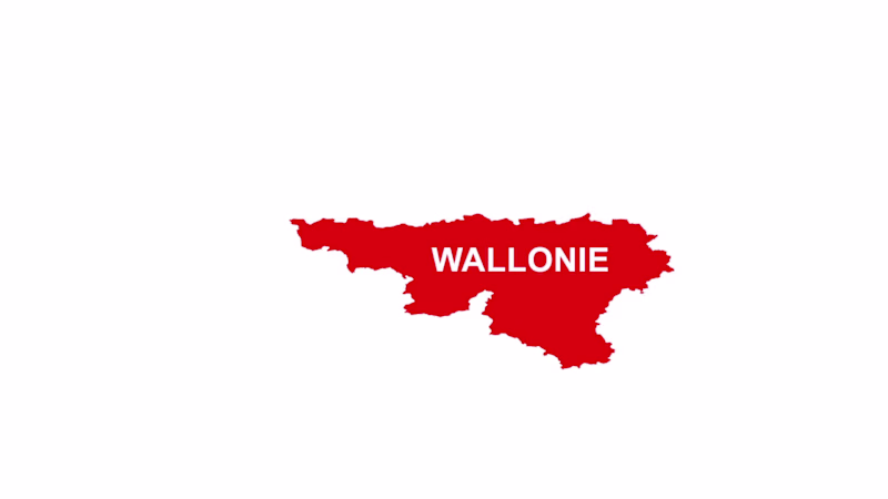 Cover image for Motion Design Enhancement for Fédération Wallonie-Bruxelles