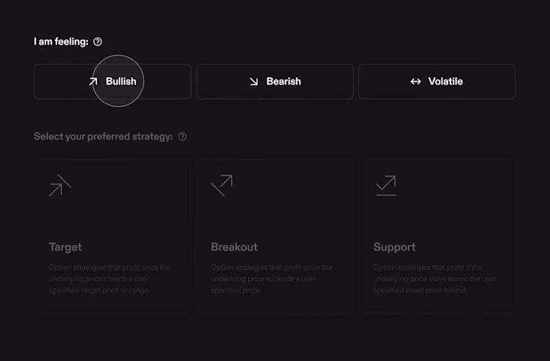 Cover image for Options Trading Platform