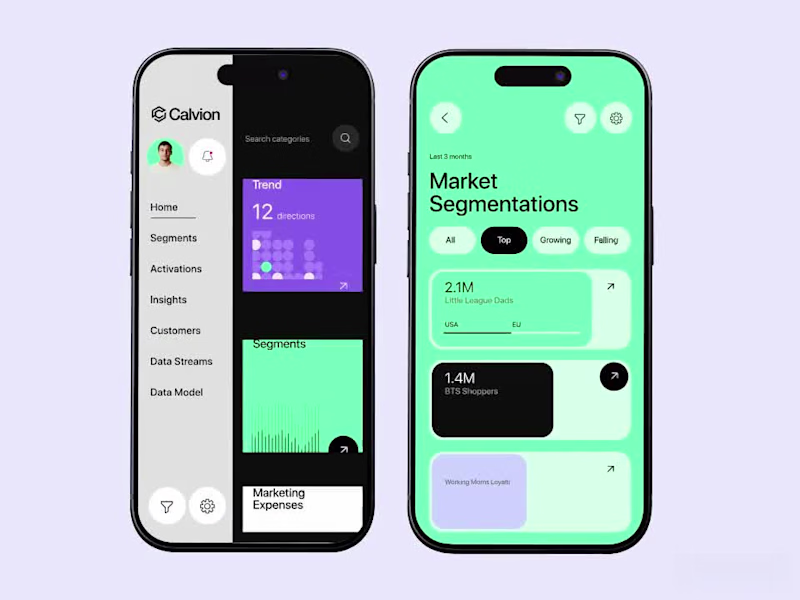 Cover image for Calvion - Saas CRM 