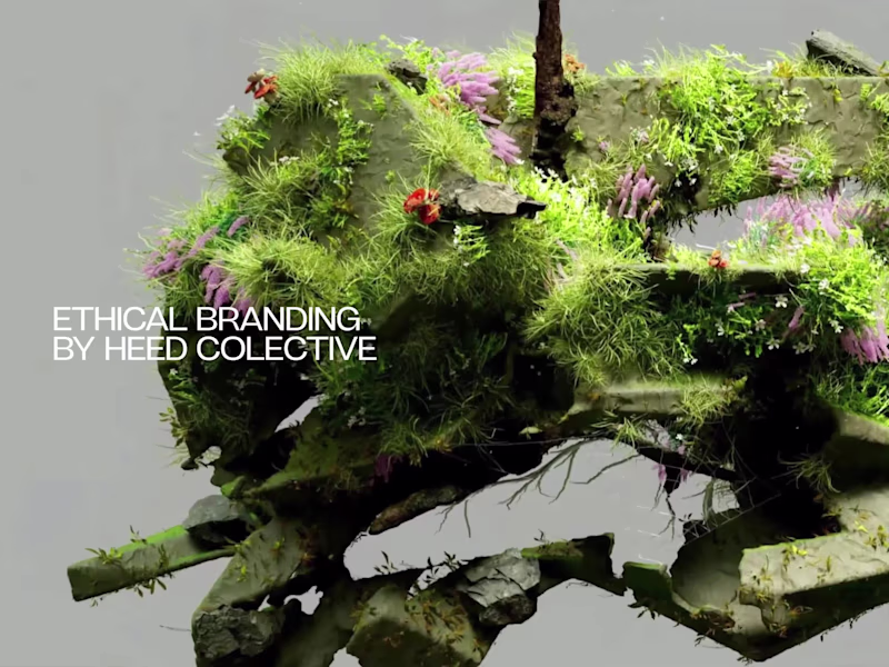 Cover image for Heed Collective Website Design and Development