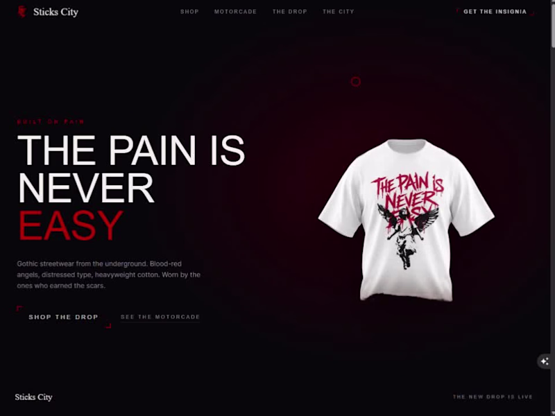 Cover image for !st website was made using