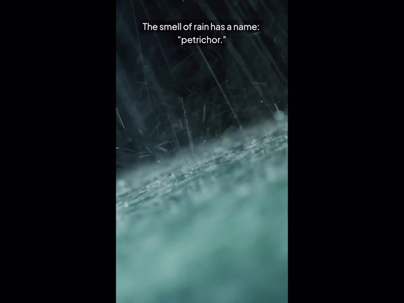 Cover image for This video takes a simple