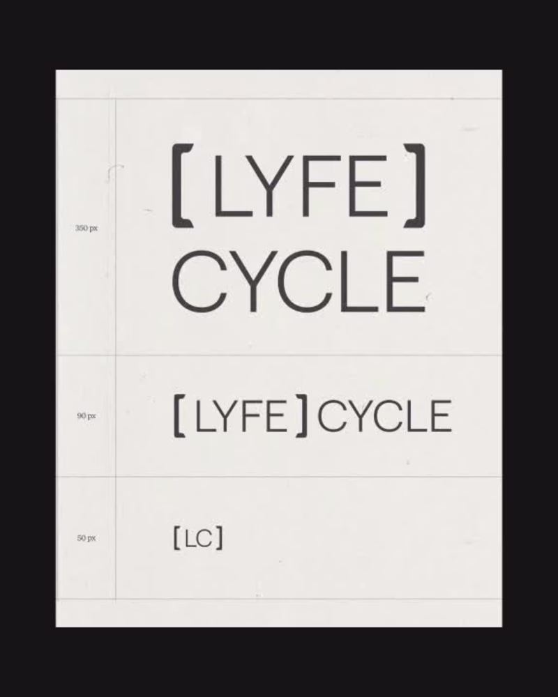 Cover image for Lyfe Cycle