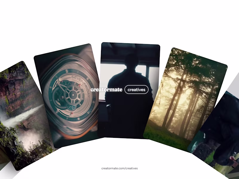 Cover image for Showreel animation