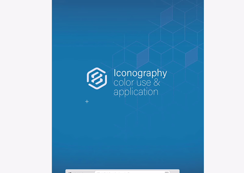 Cover image for Custom Iconography and Color Standards