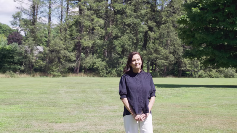 Cover image for The Dragonfly Collective for Ali Krieger - Wix Studio