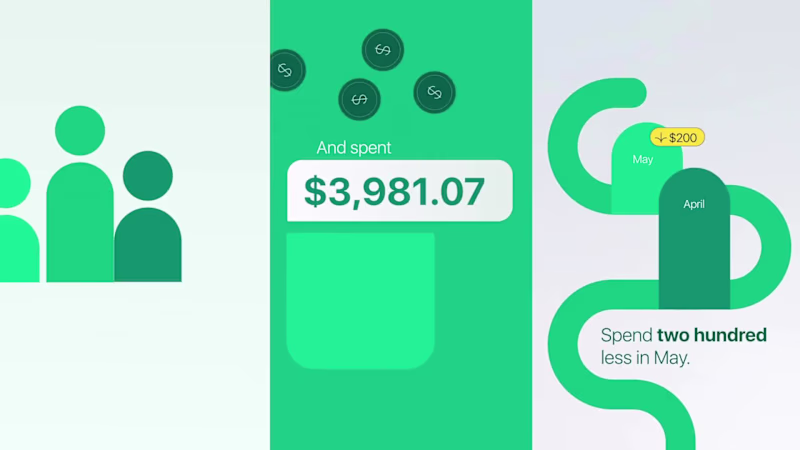 Cover image for Financial Snapshot Animation Project