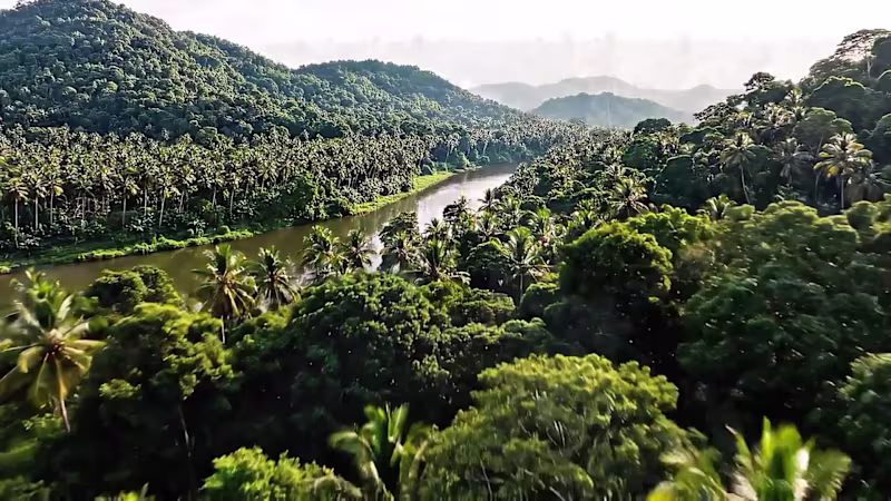 Cover image for A spec ad for Malabar