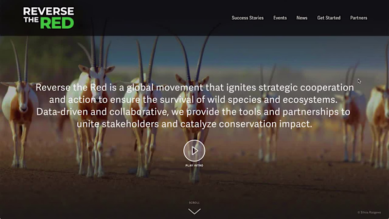 Cover image for Reverse the Red
Data-driven and propelled