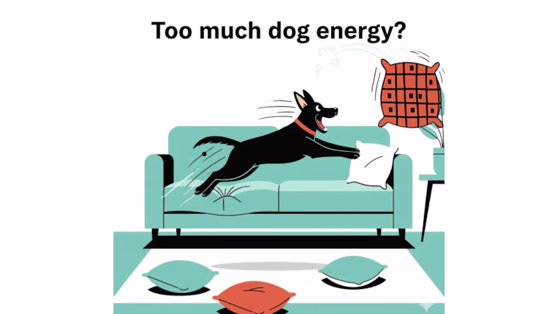 Cover image for GoPAWZ — AI-Driven Startup Launch