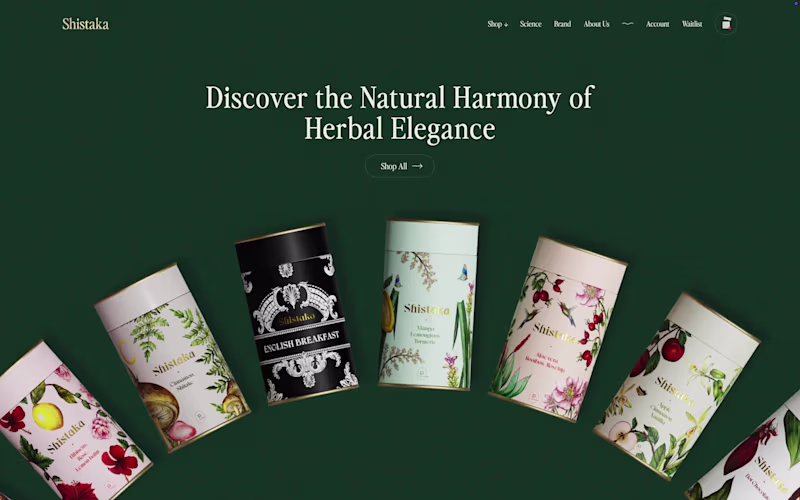 Cover image for What if your first scroll